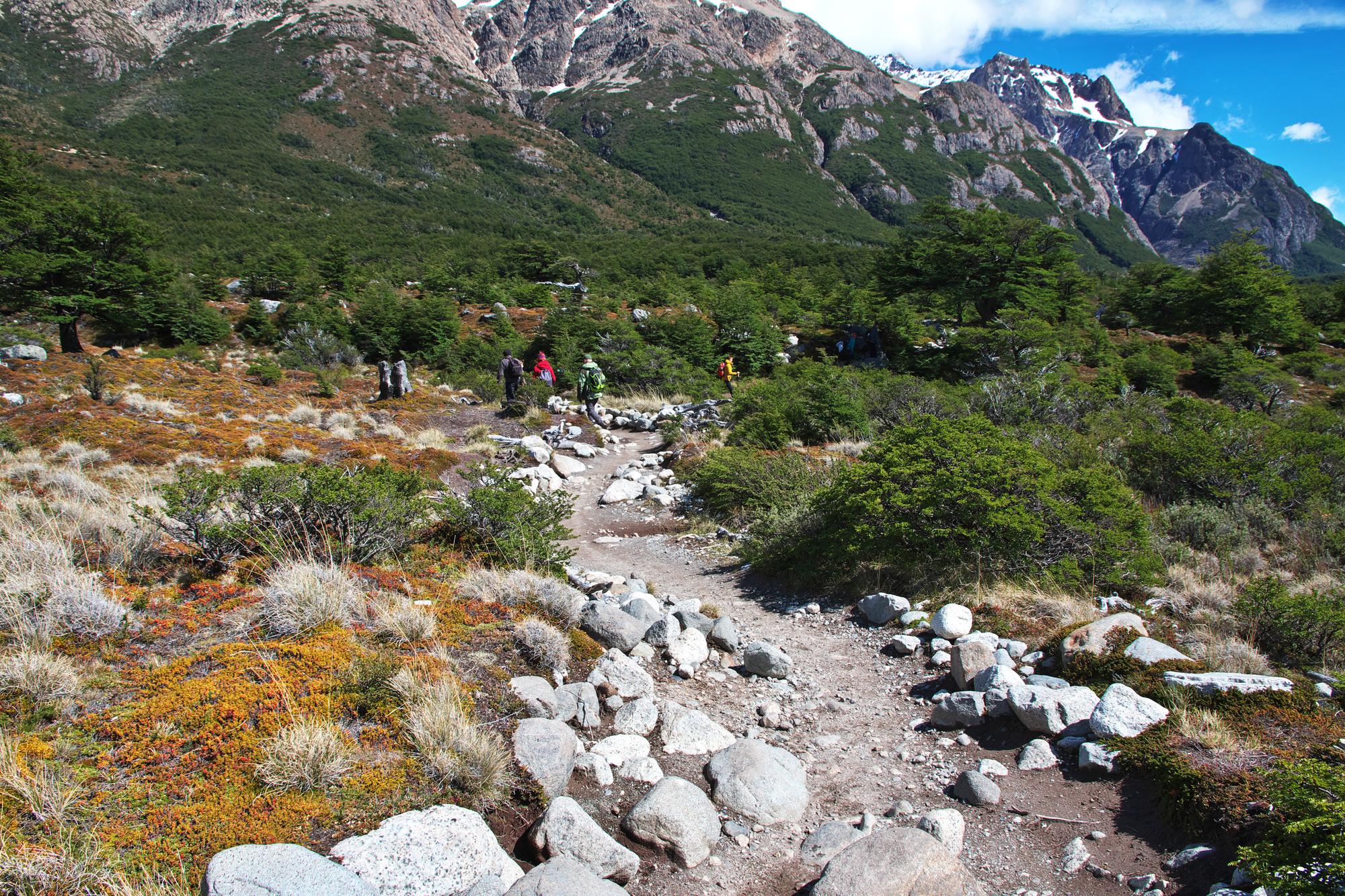 Mountain trail in Japan