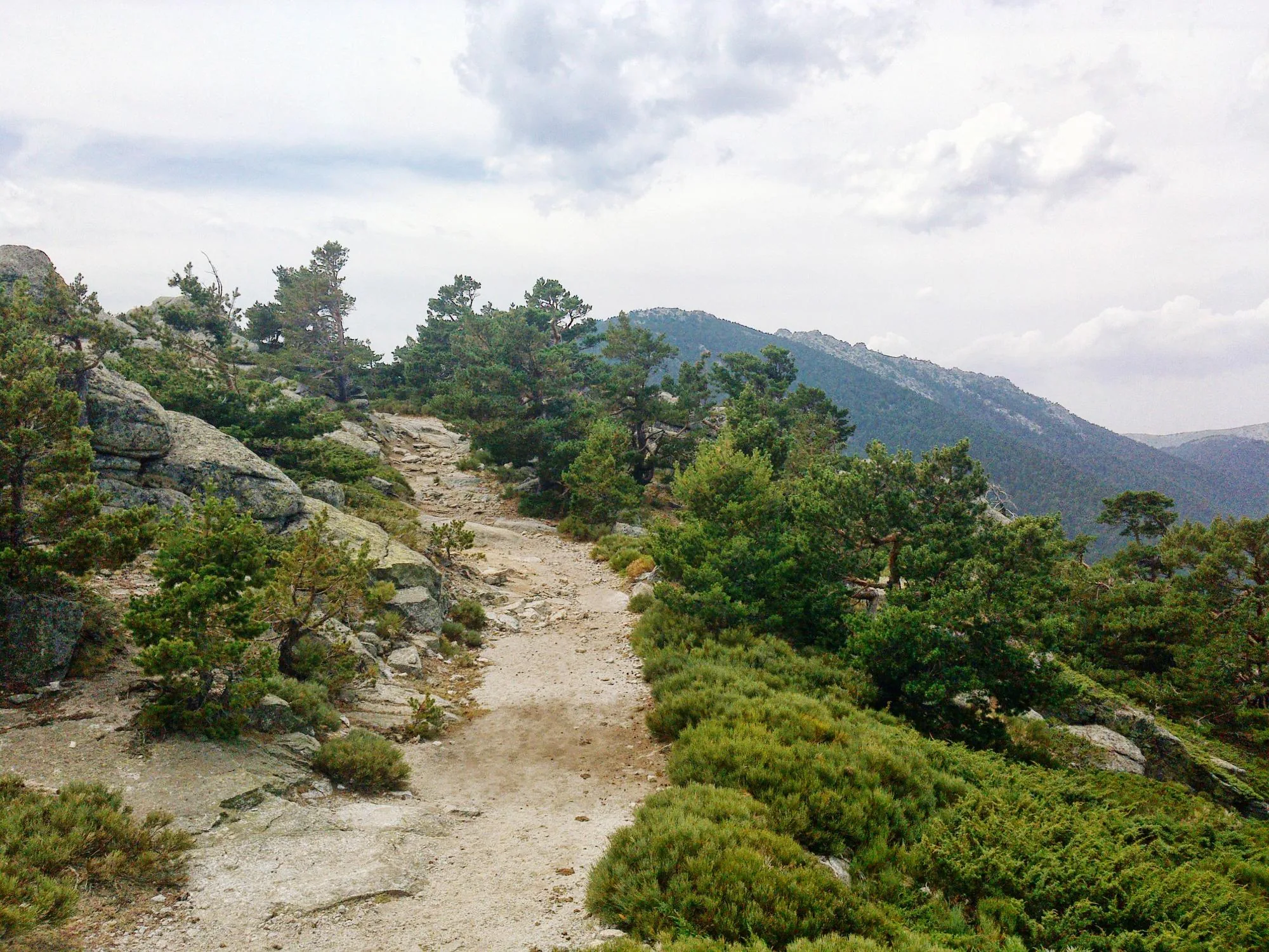 Two paths diverging on a Japanese mountain trail